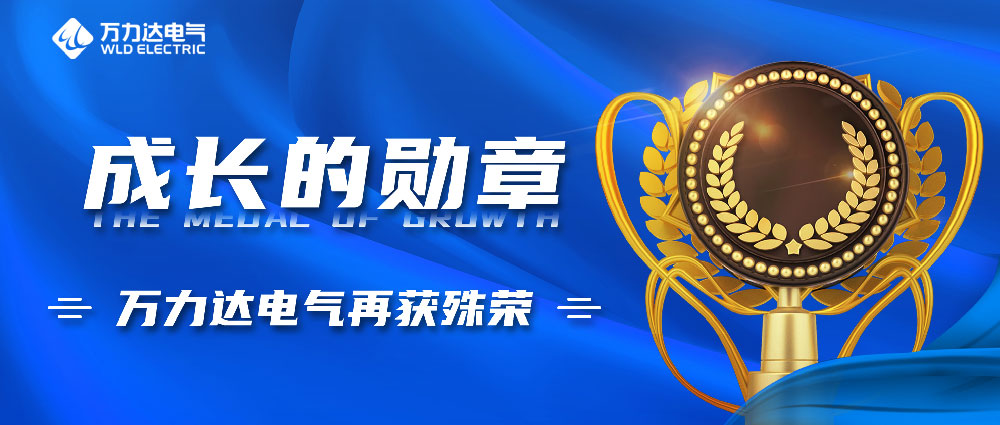 成长的勋章！亿万先生MR电气再获殊荣